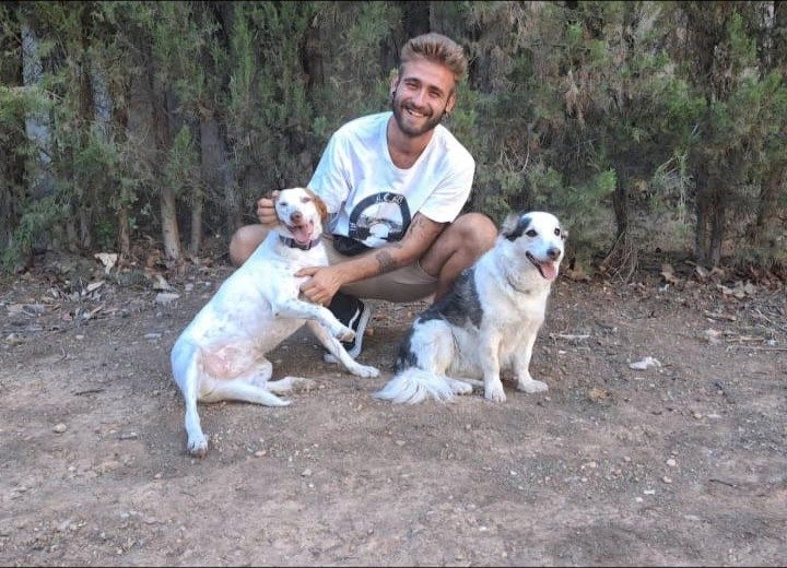 Sesión con varios perros